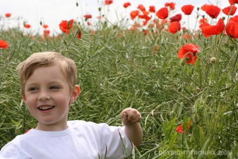 Max in Poppies
